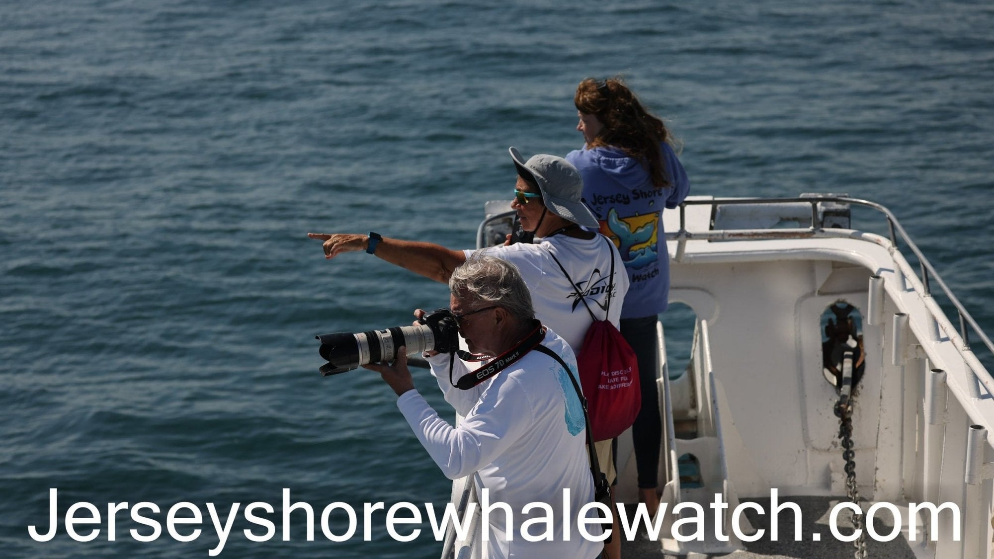 Thursday afternoon whale watching trip photo May 27th