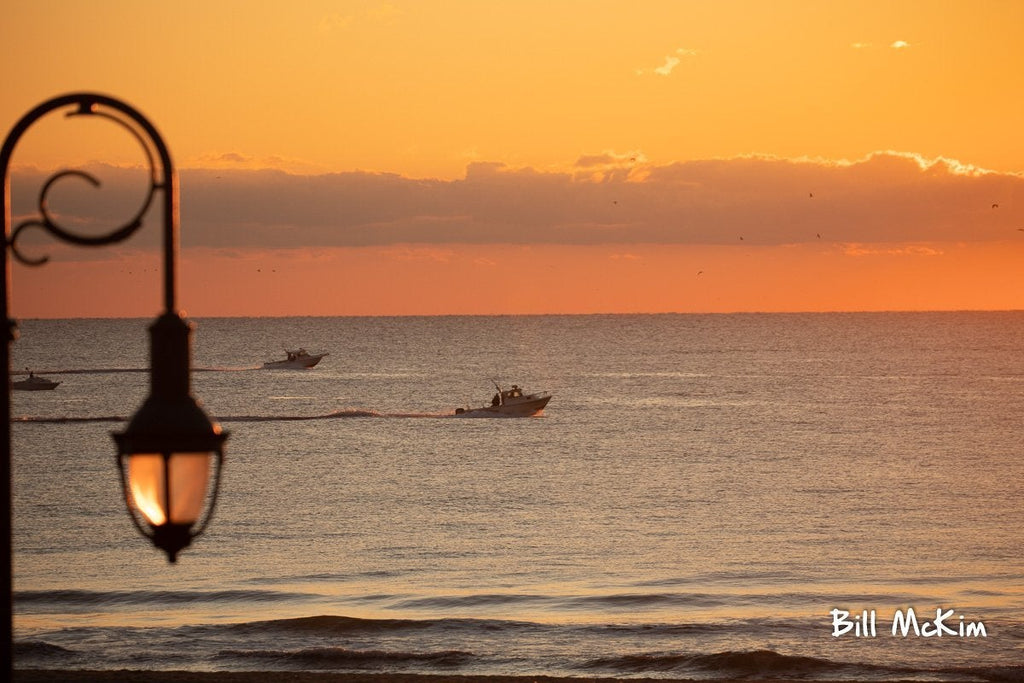 Whale at sunrise story Jersey shore November 2019  documenting the humpback whale