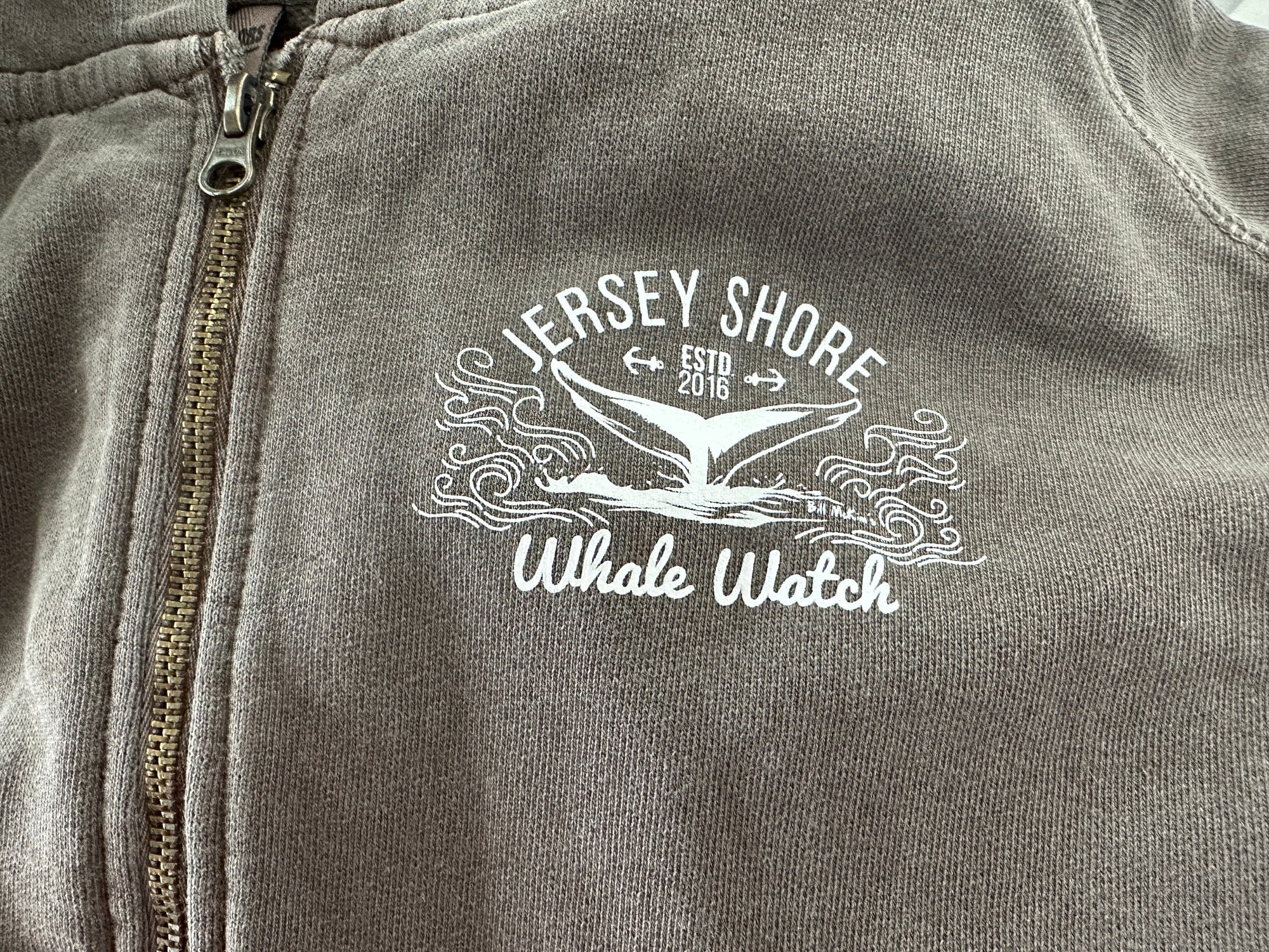 3 Mystery Adult Sweatshirts – Perfect for Whale Watching Adventures by Bill McKim Bill McKim Photography -Jersey Shore whale watch tours 