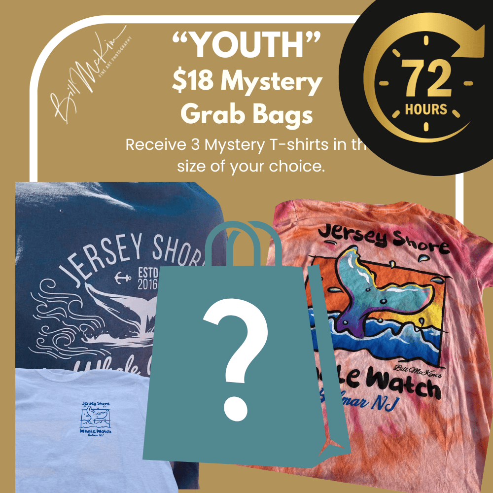 3 Mystery Youth T-Shirts – Perfect for Whale Watching Adventures by Bill McKim Bill McKim Photography -Jersey Shore whale watch tours 