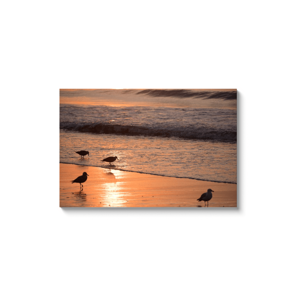 Bird Canvas by Bill Mc Kim Bill McKim Photography -Jersey Shore whale watch tours 