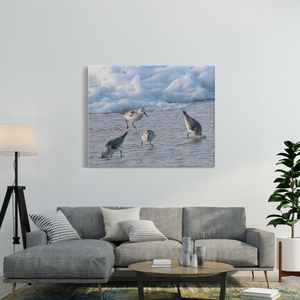 Cold Birds Canvas By Bill Mc Kim Bill McKim Photography -Jersey Shore whale watch tours 