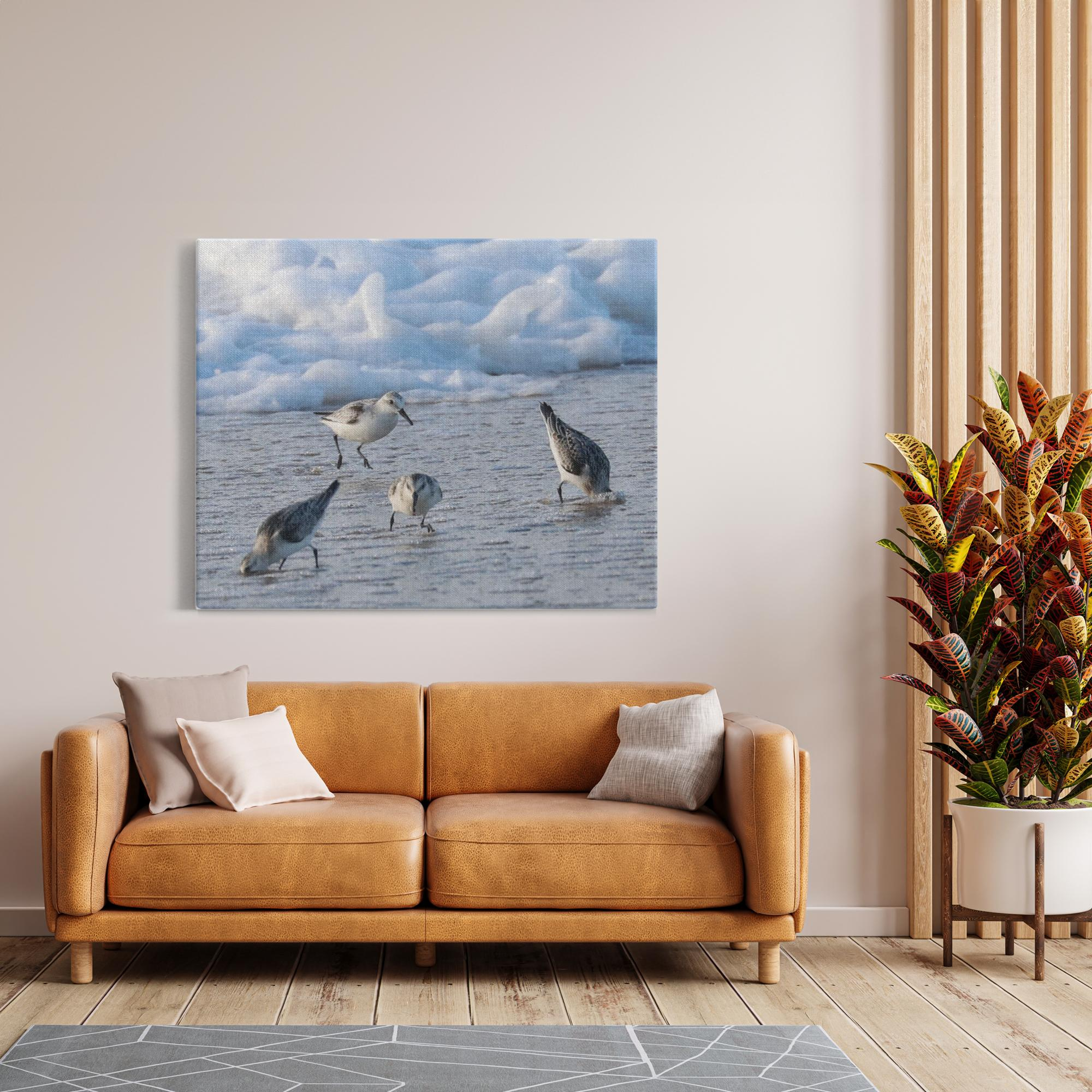 Cold Birds Canvas By Bill Mc Kim Bill McKim Photography -Jersey Shore whale watch tours 