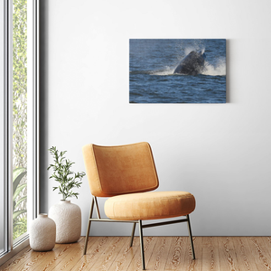 Jersey shore whale watch June 27th-188 Whales Canvas Bill McKim Photography -Jersey Shore whale watch tours Image Wrap 1.25 inch 20x30 inch