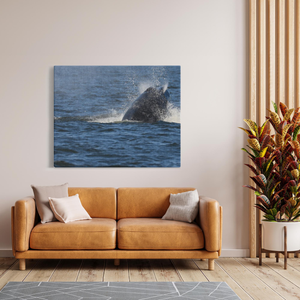 Jersey shore whale watch June 27th-188 Whales Canvas Bill McKim Photography -Jersey Shore whale watch tours Image Wrap 1.25 inch 48x60 inch