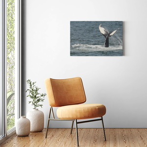 Jersey shore Whales Canvas Bill McKim Photography -Jersey Shore whale watch tours Image Wrap 1.25 inch 20x30 inch