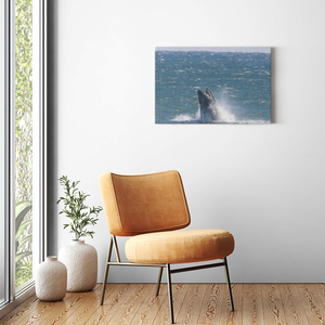 Jersey shore Whales Canvas Bill McKim Photography -Jersey Shore whale watch tours Image Wrap 1.25 inch 20x30 inch