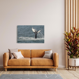 Jersey shore Whales Canvas Bill McKim Photography -Jersey Shore whale watch tours Image Wrap 1.25 inch 32x48 inch