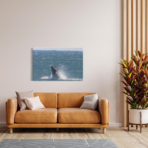 Jersey shore Whales Canvas Bill McKim Photography -Jersey Shore whale watch tours Image Wrap 1.25 inch 32x48 inch