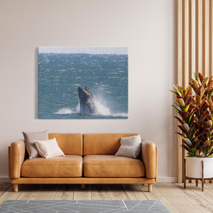 Jersey shore Whales Canvas Bill McKim Photography -Jersey Shore whale watch tours Image Wrap 1.25 inch 48x60 inch