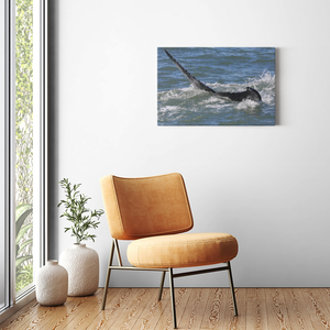 Whale Canvas Bill McKim Photography -Jersey Shore whale watch tours Image Wrap 1.25 inch 20x30 inch