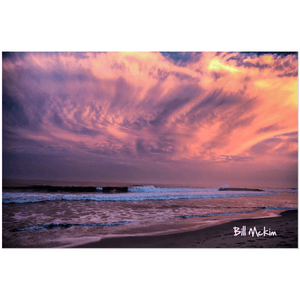 Acrylic Prints Bill McKim Photography -Jersey Shore whale watch tours 1/8 inch 12x18 inch 