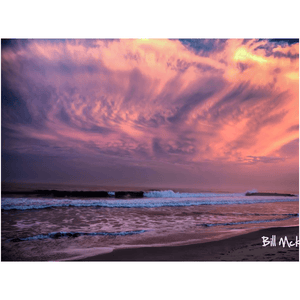 Acrylic Prints Bill McKim Photography -Jersey Shore whale watch tours 