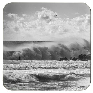 Coasters Bill McKim Photography -Jersey Shore whale watch tours 