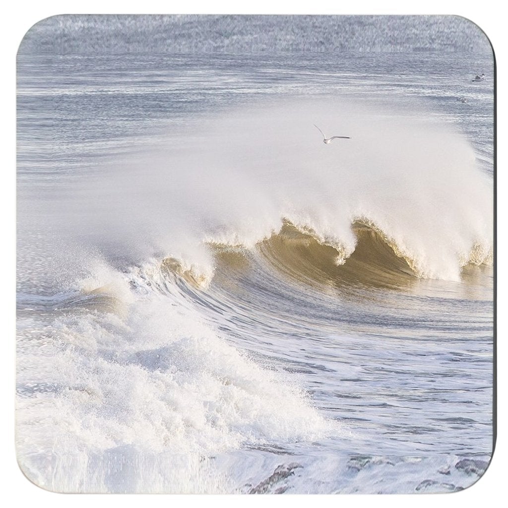 Coasters Bill McKim Photography -Jersey Shore whale watch tours Set of 4 3.75x3.75 inch 