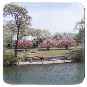 Coasters Cherry Blossoms Spring Lake NJ Bill McKim Photography -Jersey Shore whale watch tours 