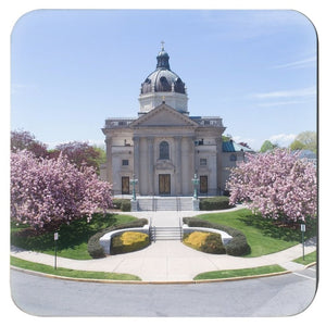 Coasters Cherry Blossoms Spring Lake NJ Bill McKim Photography -Jersey Shore whale watch tours Set of 4 3.75x3.75 inch 