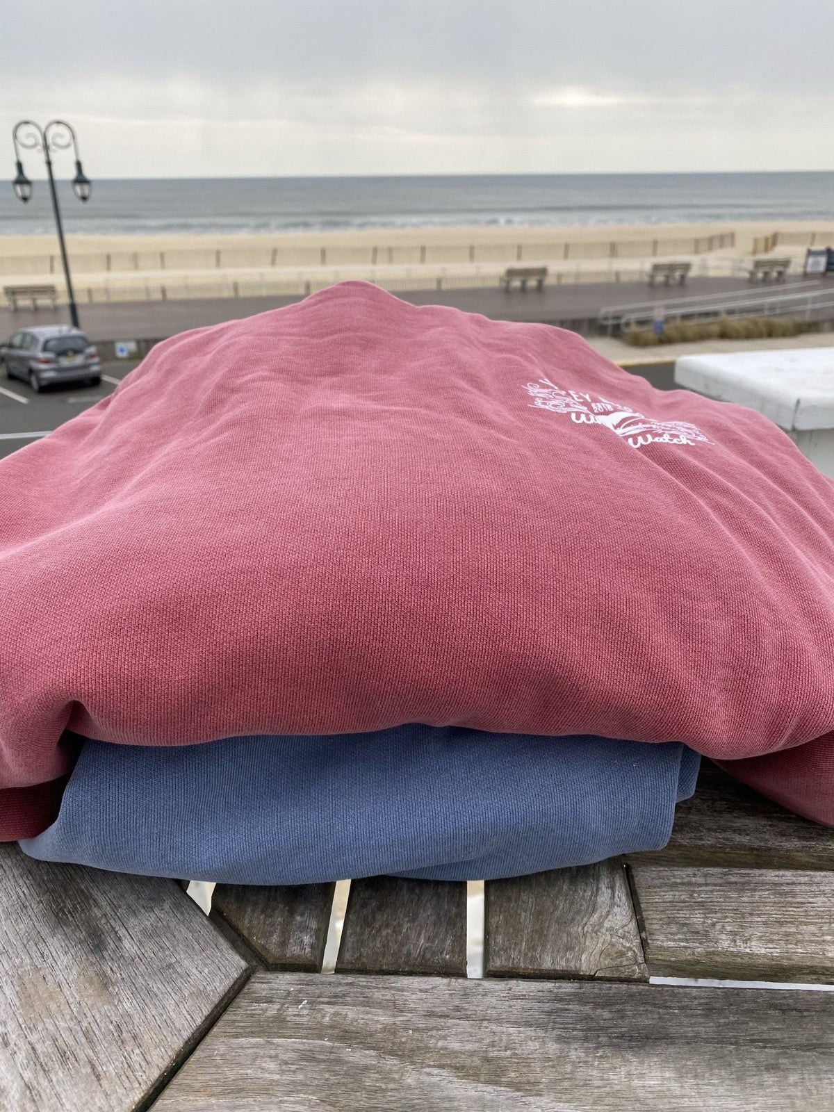 Est. 2016 Design Jersey Shore Whale Watch Heavyweight Sweatshirt printed both sides Bill McKim Photography 