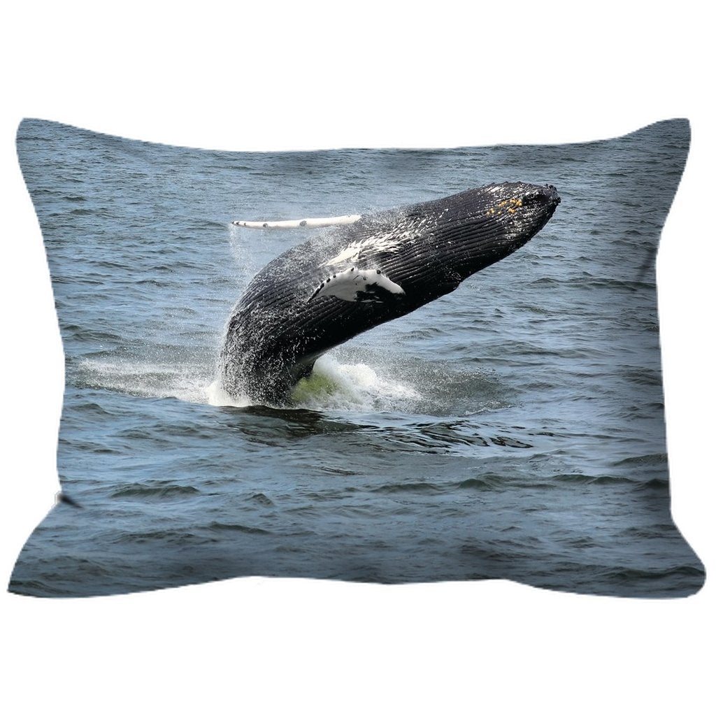 Outdoor Pillows Jersey shore whale watch Double sided Bill McKim Photography 