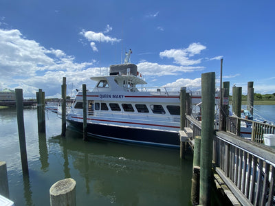 Tickets Bill McKim's Jersey Shore Whale Watch Tour Point Pleasant Marina Whale Watching Tour Bill McKim Photography 