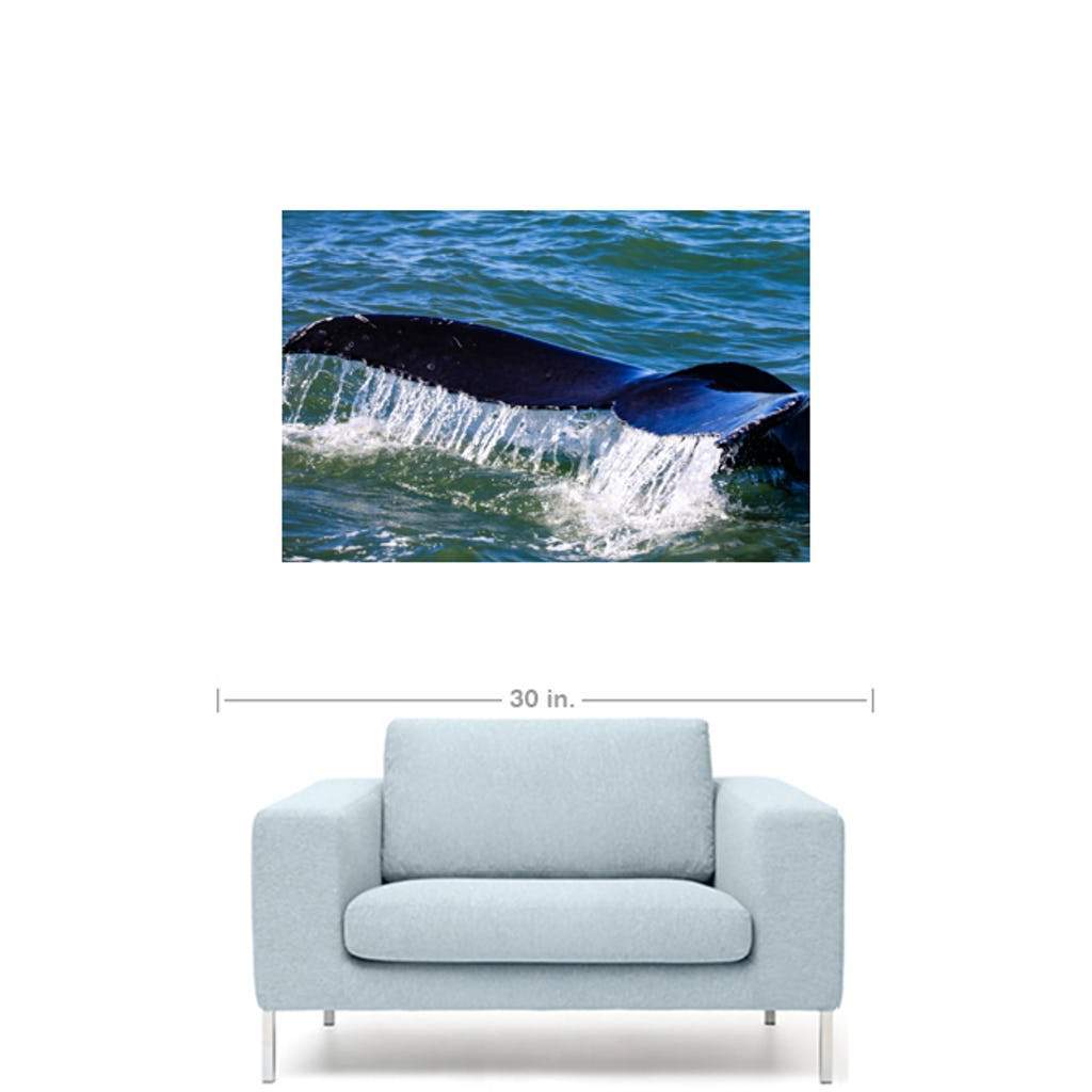 Whale Tail Humpback Jersey shore Black Frame CG Pro Prints 16&quot;x24&quot;x1.25&quot; Premium Canvas Gallery Wrap 